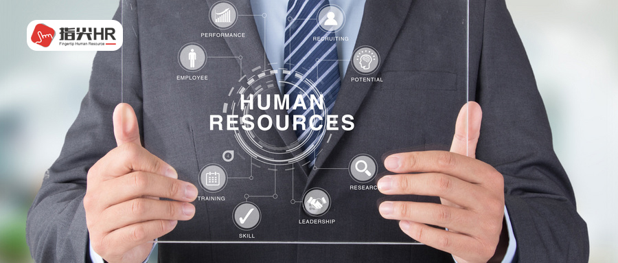 雇主险,郑州正邦人力 雇主险,郑州正邦人力